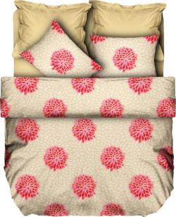 Олекотена завивка Zeta