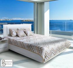 Кувертюра Бриана геометрия